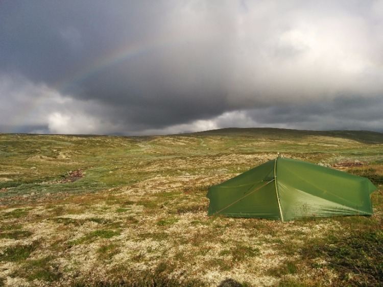 Wildkamperen Hardangervidda foto 1